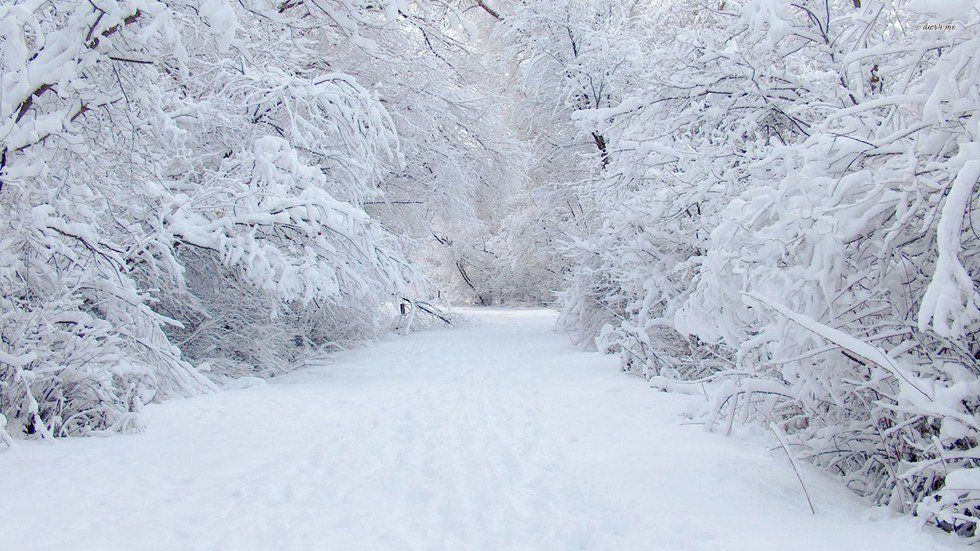 Spring in Wisconsin