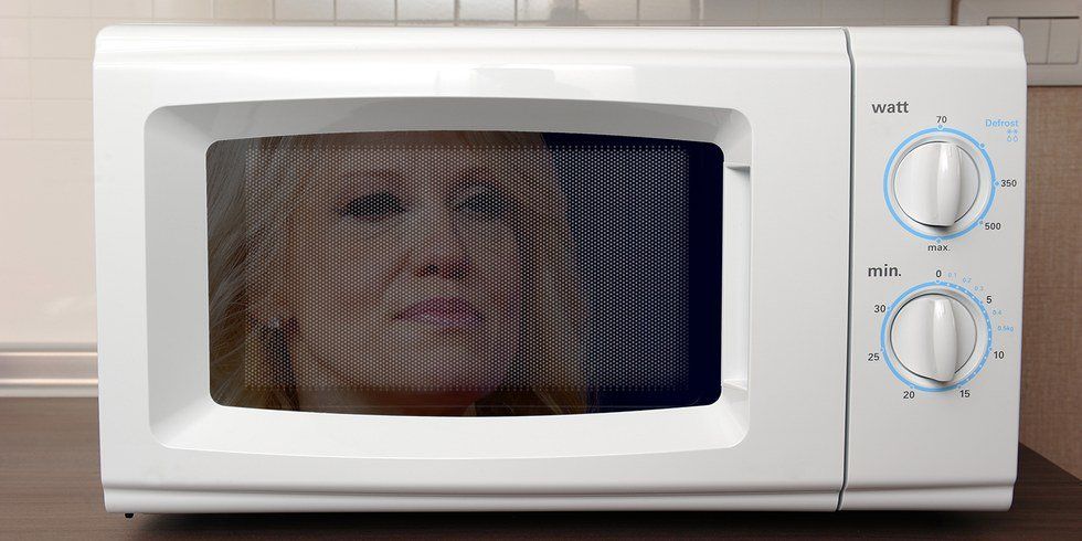 My Life Through The Eyes of My NSA Issued Microwave