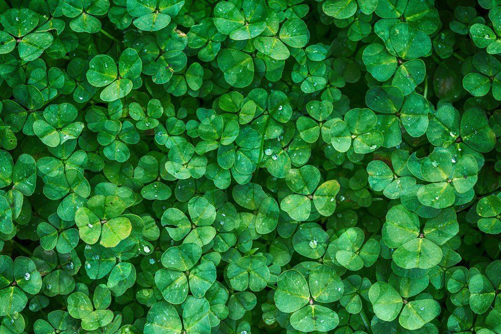 12 Ways To 'Actually' Get Lucky This St. Patrick's Day