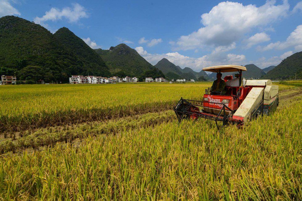 Why Farm Safety Is So Important