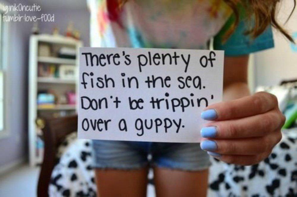 Plenty of Fish in the Sea