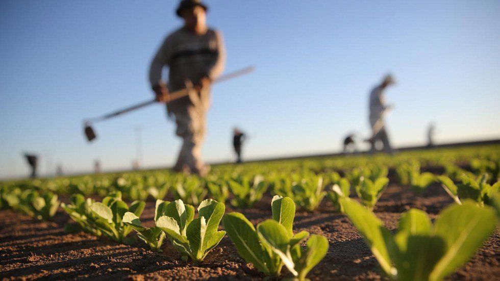 Soil Erosion as a Threat to Human Civilizations