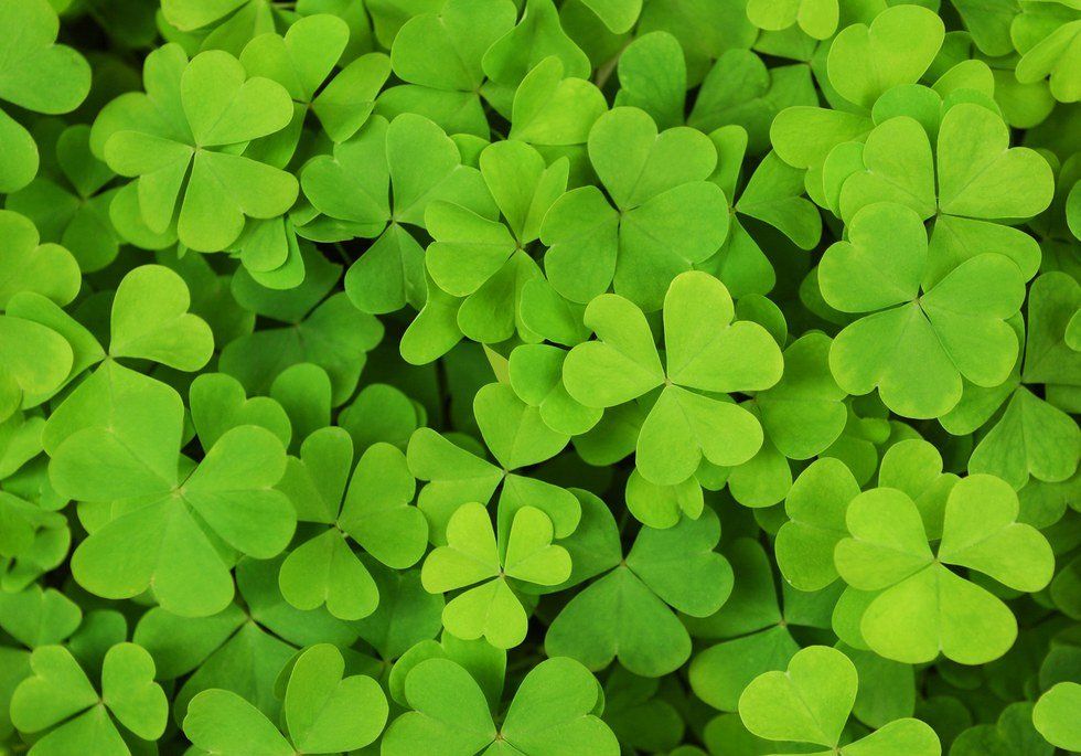 6 Reasons Why St. Patrick's Day Is The Best Holiday