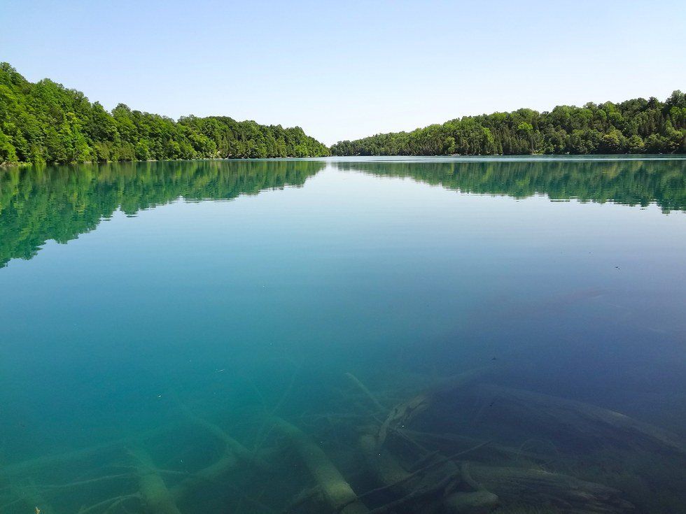 Blue Green Algae