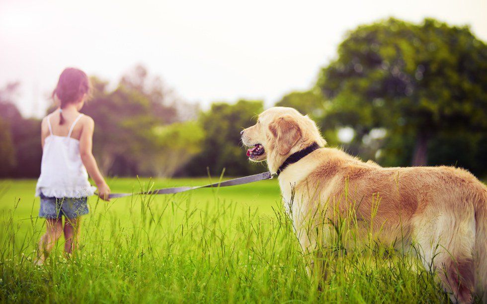 The Importance Of Childhood Pets