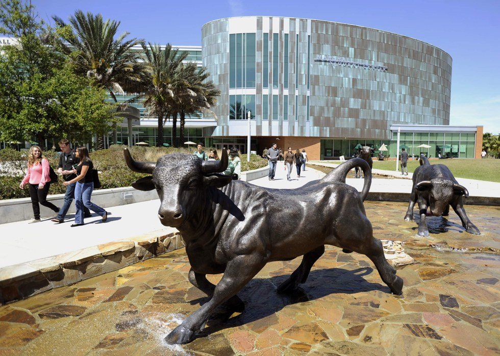 4 Reasons Choosing USF Was The Easiest Decision