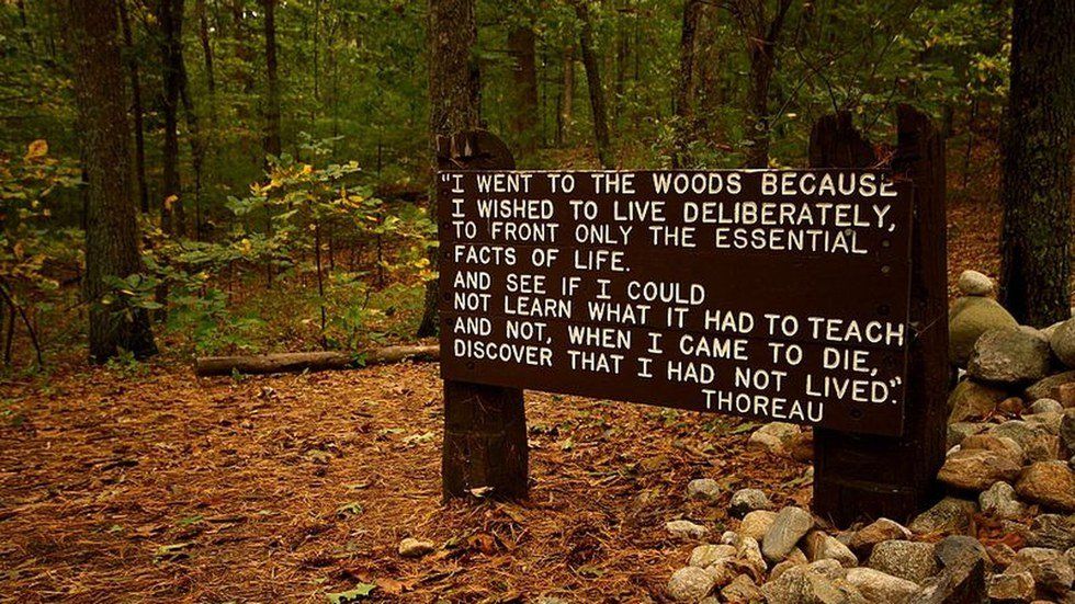 Becoming Thoreau