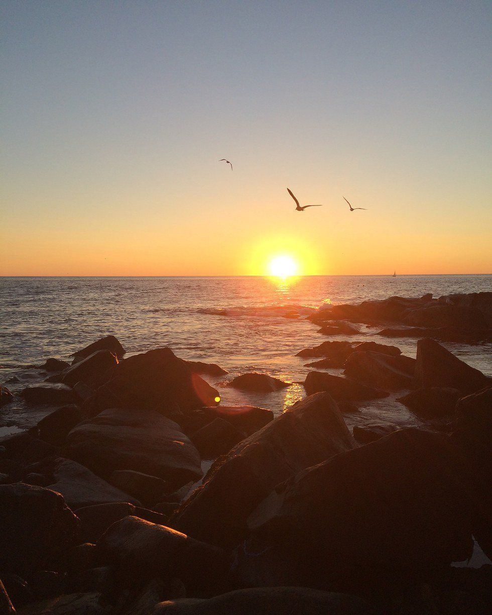 Why Every Biology Student Should Visit Appledore Island