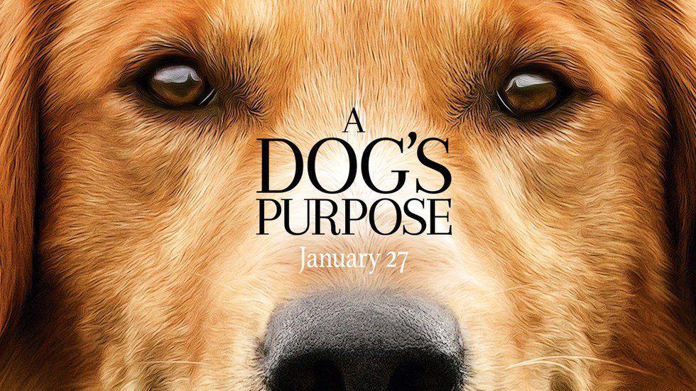 Movie Review: A Dog's Purpose