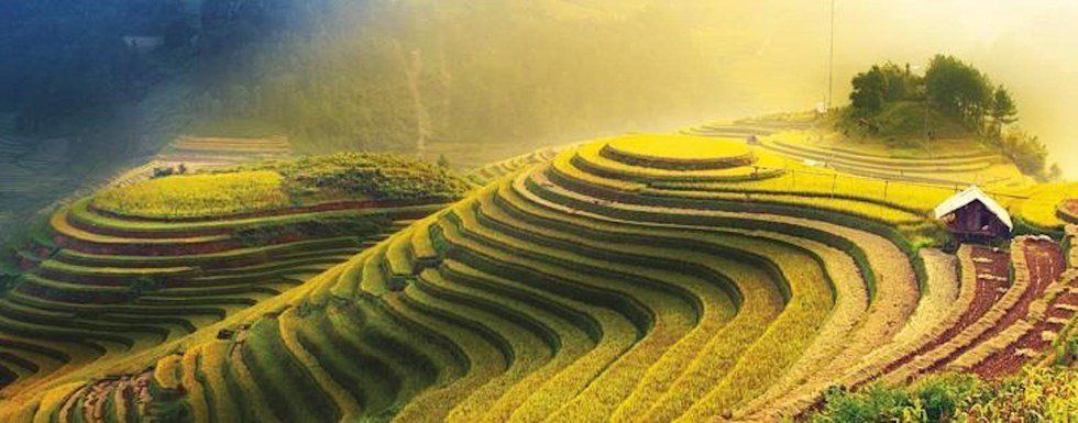 6 Absolutely Must See Places In Vietnam