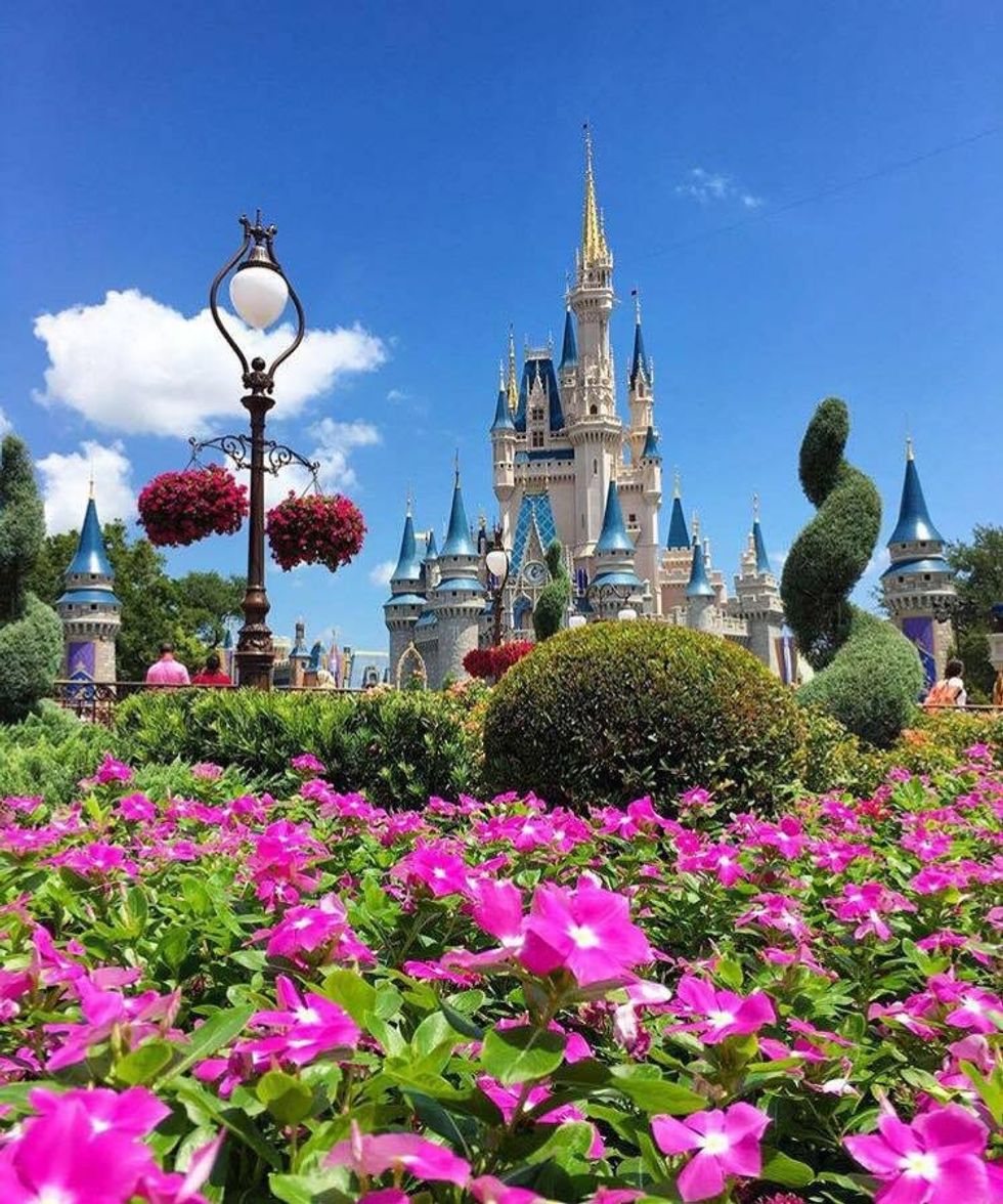 6 Things You Absolutely Need for the Disney College Program