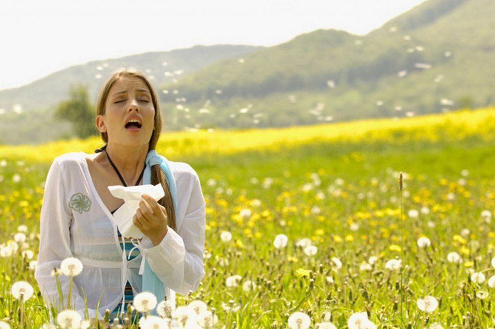 9 GIFs Everyone With Spring Allergies Is Feeling