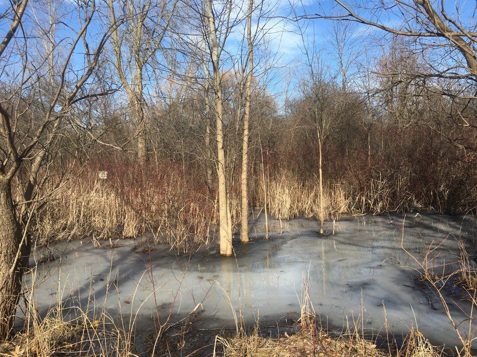 What Winter In Rochester, NY Looks Like