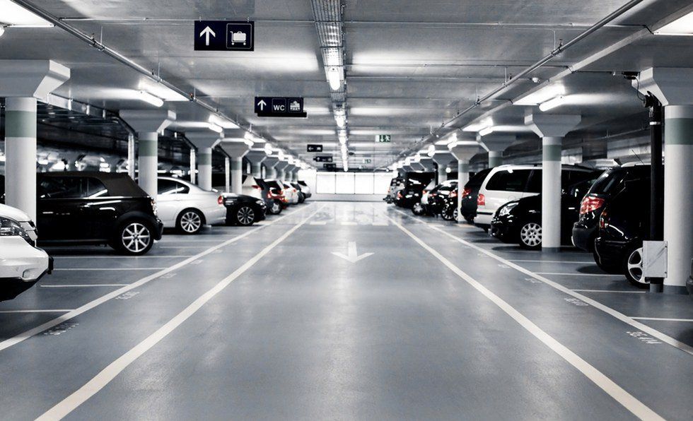 7 Ways College Parking Lots Are Like The Wild