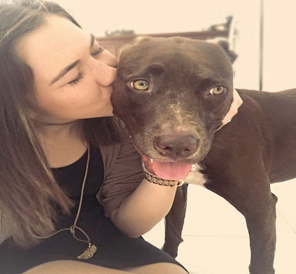 9 Reasons I Love Dogs More Than People