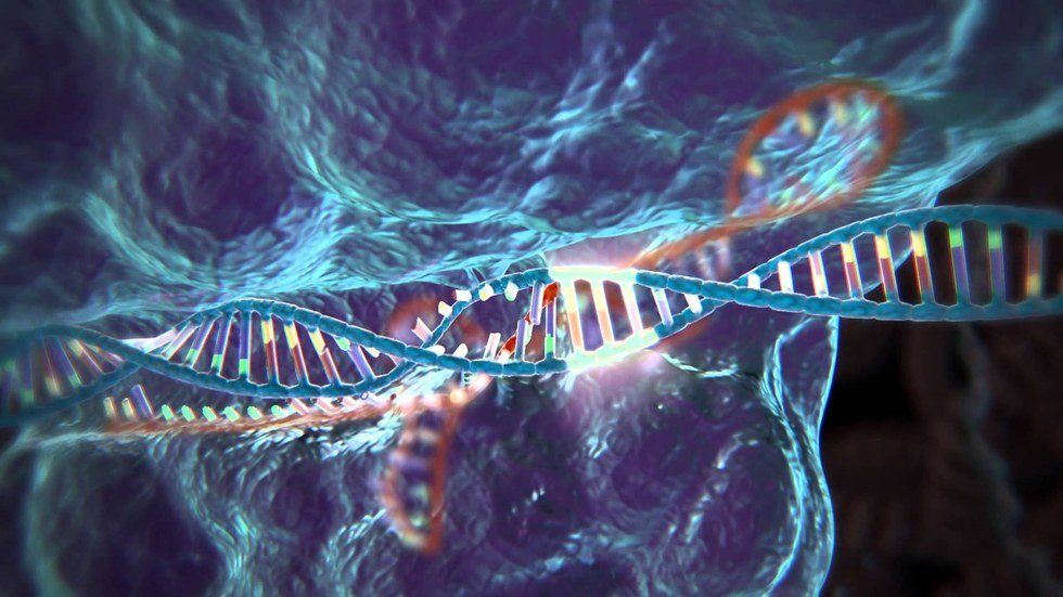 CRISPR: A Door Into The Future