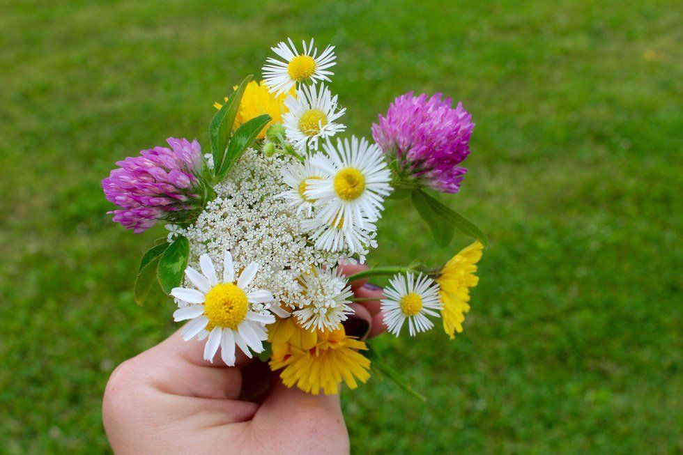 5 Reasons Flowers Are The Perfect Gift