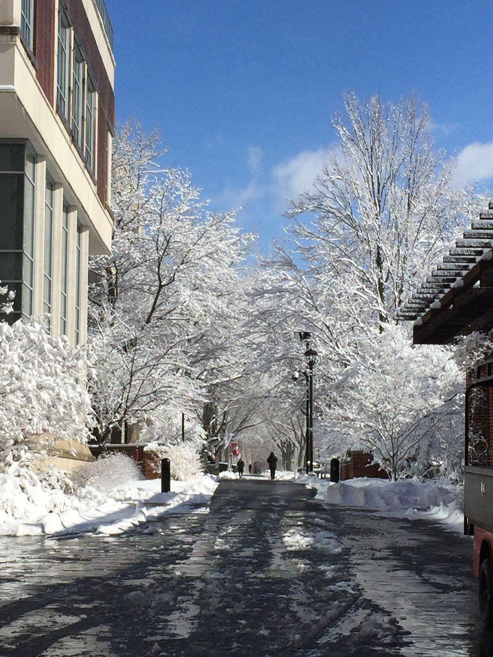 My First College Snow Day