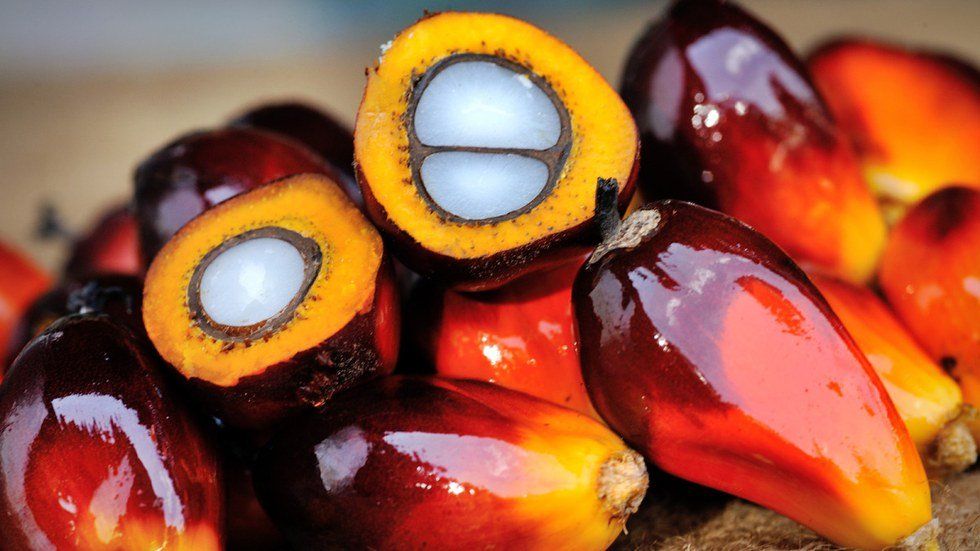 What Is Palm Oil, And Why You Should Care About Consuming It.