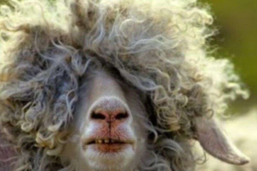 12 Things All Girls With Curly Hair Know To Be True