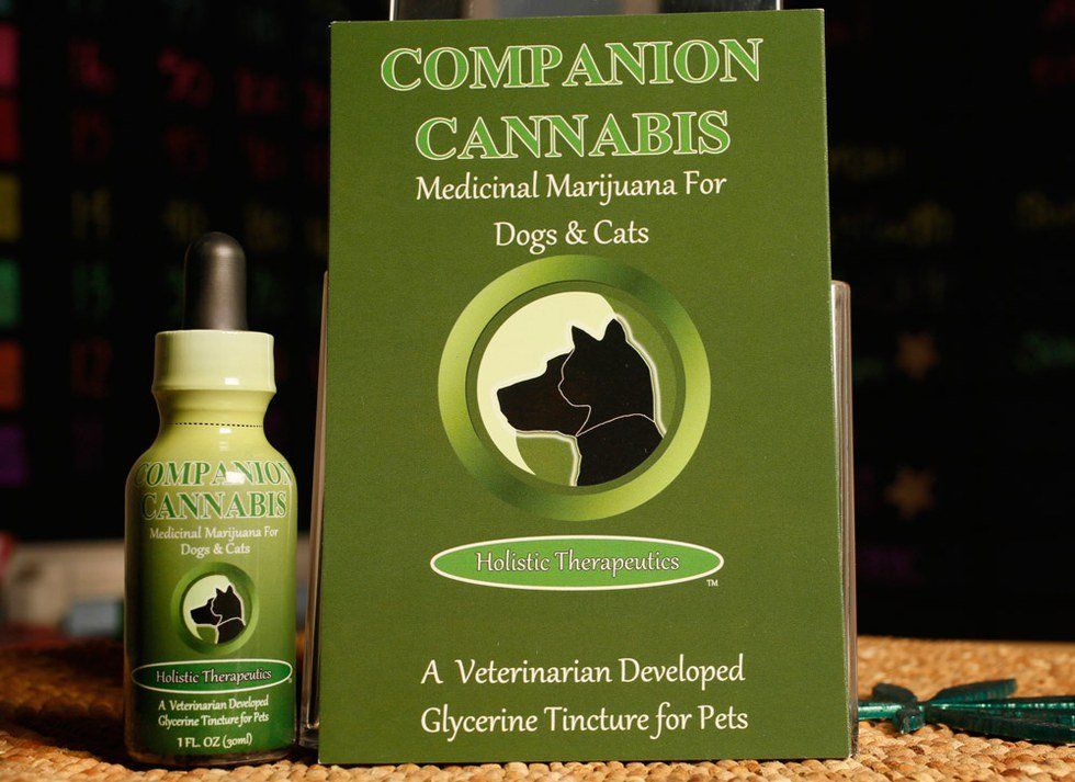 Medical Marijuana, But For Pets