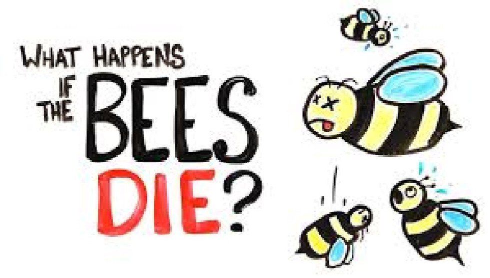 What Would Happen If All The Bees Died?