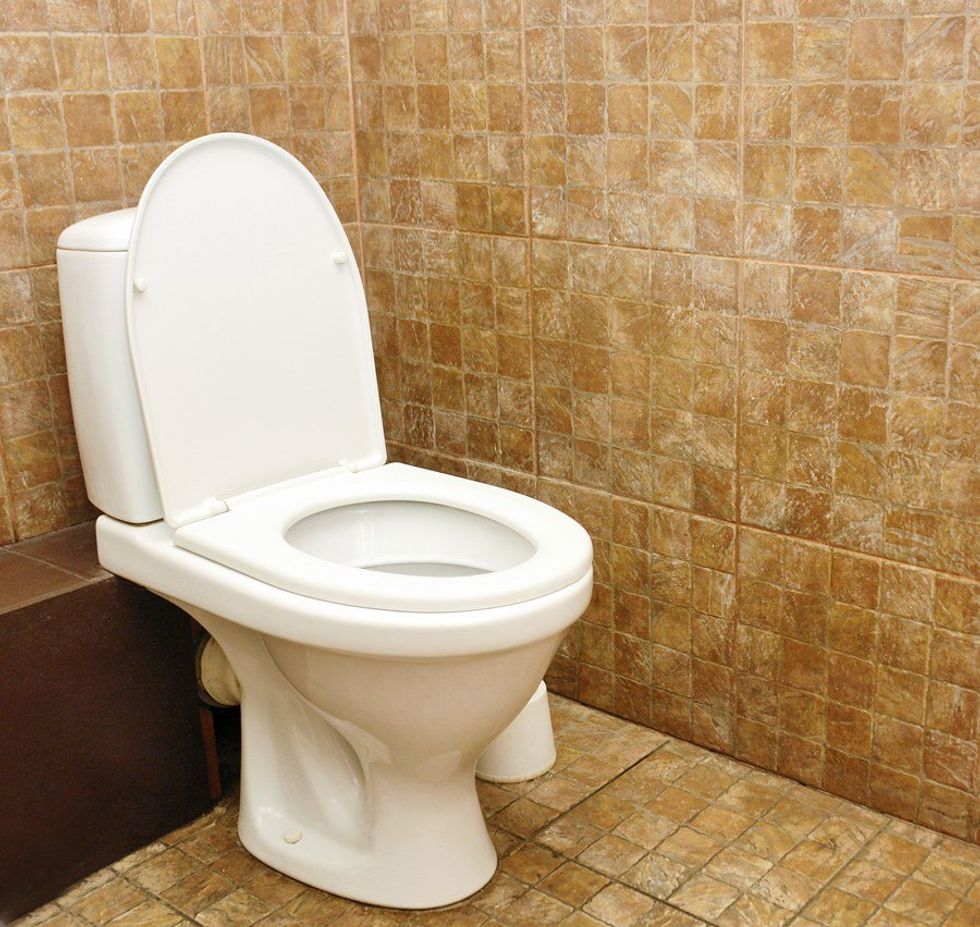 Why Toilets Deserve More Appreciation