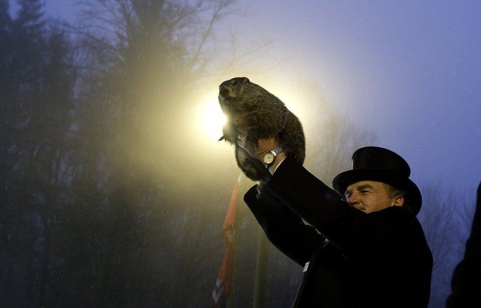 An Open Letter to Punxsutawney Phil