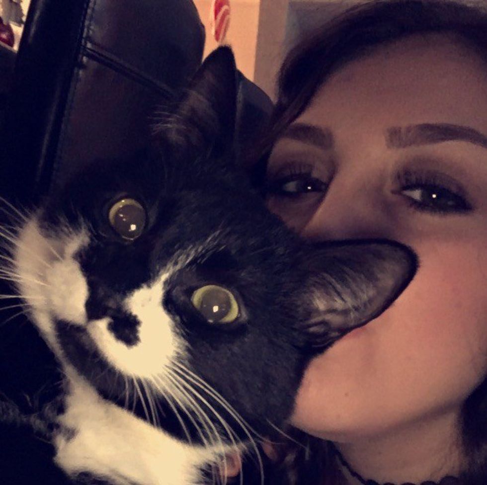 11 Sign's Your Cat Is Your Best Friend