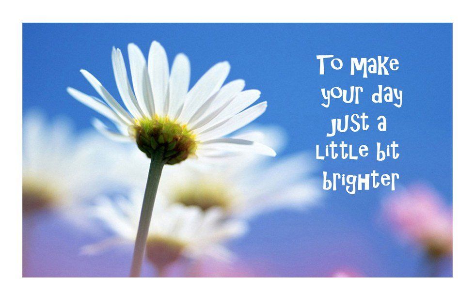 15 Things To Brighten Your Day