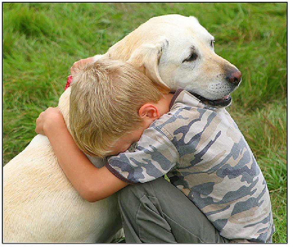 Man's Best Friend Knows Exactly How You're Feeling