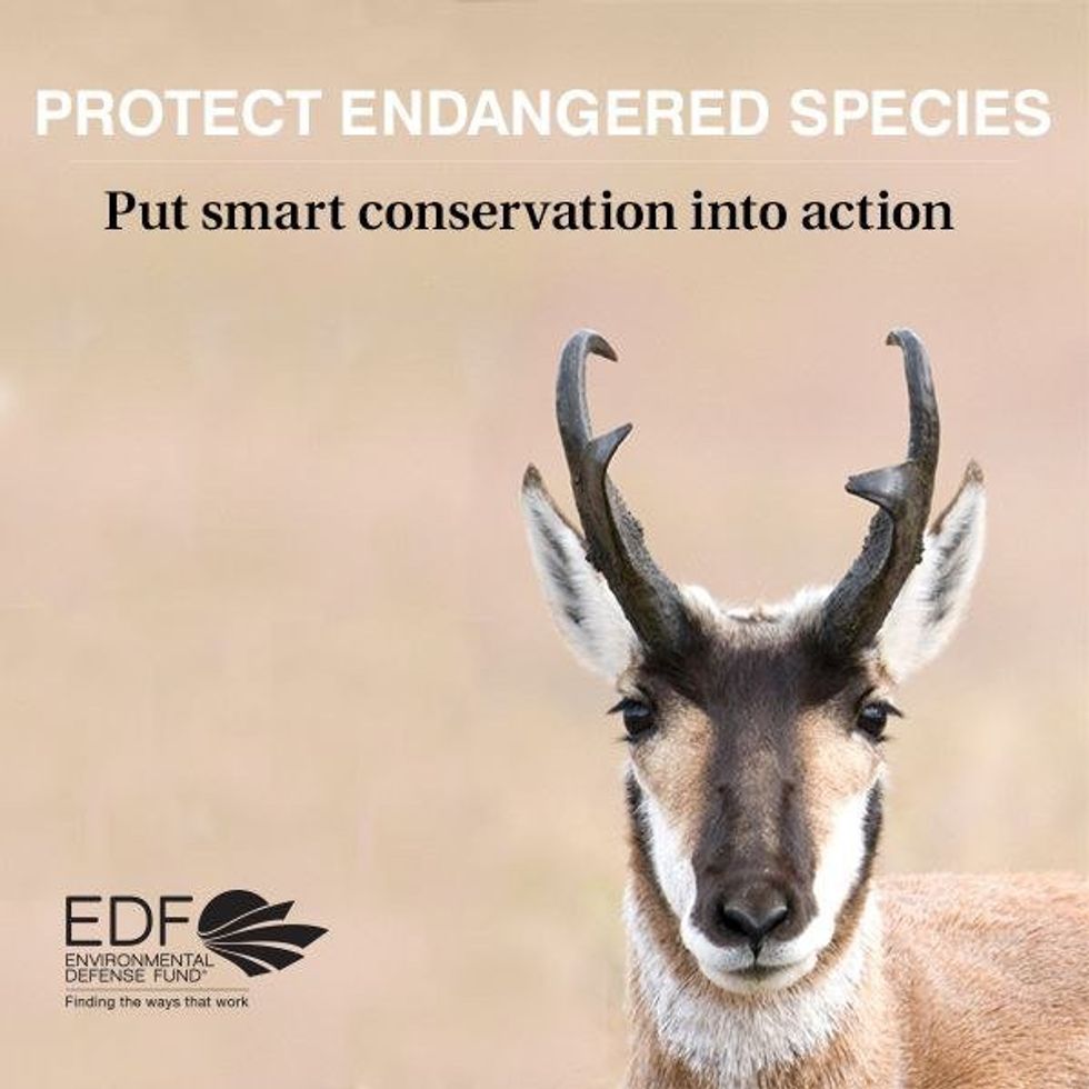 Facts About the Endangered Species Act