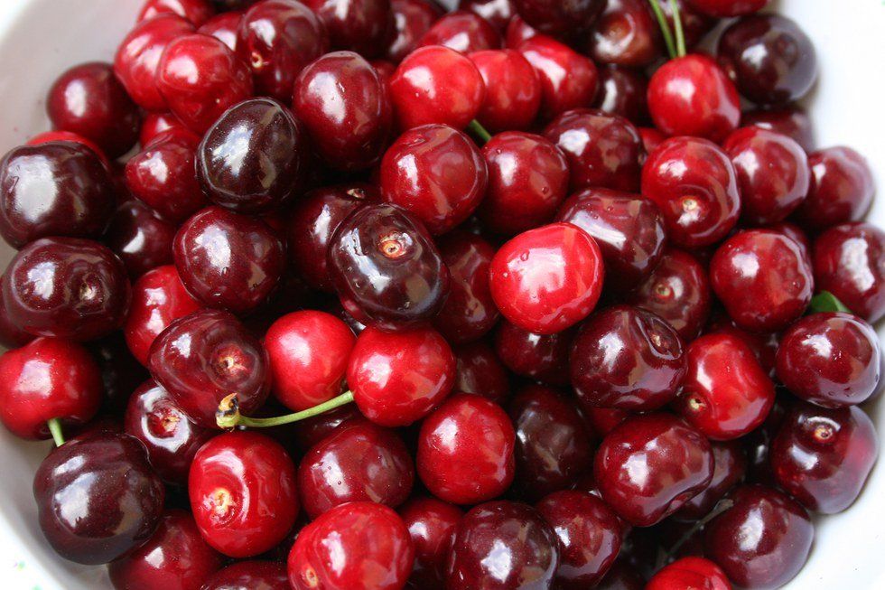 Cherry Tree Climbing