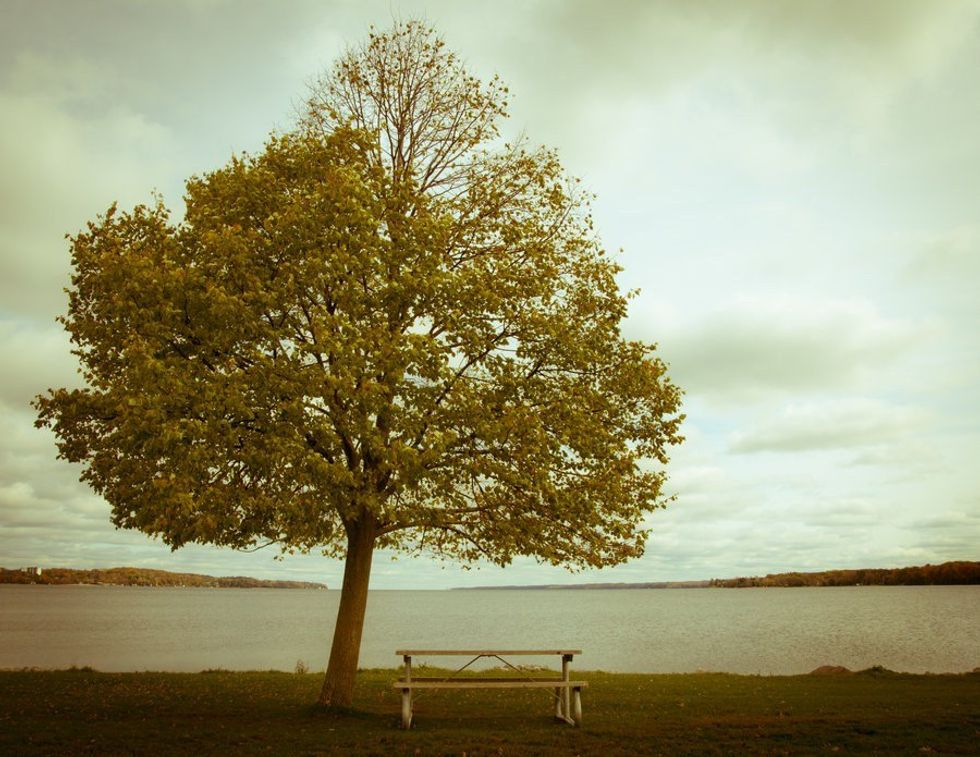 Phases of Trees