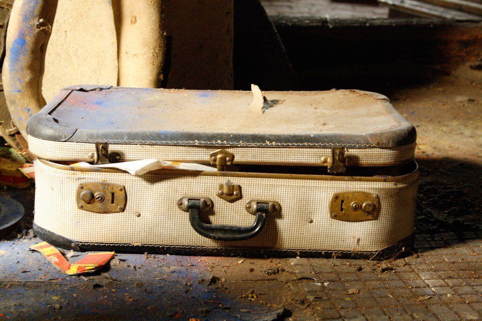 The Suitcase That Saw The World