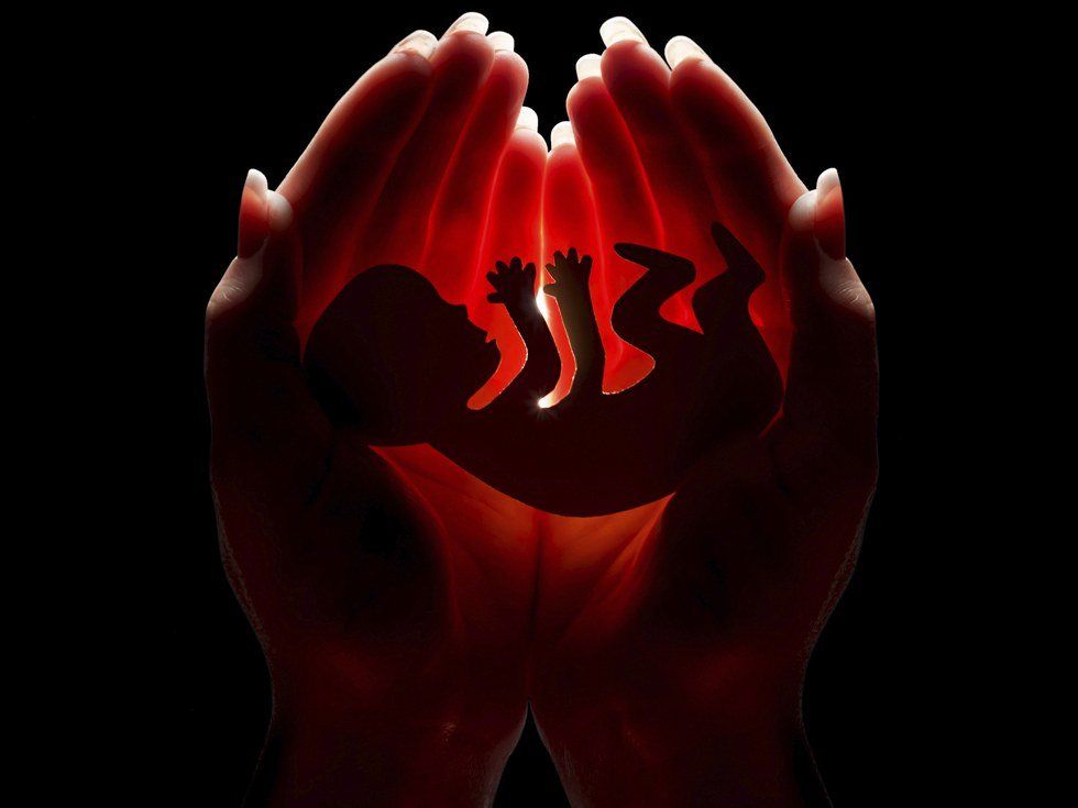 Banning Abortions Will Not End Abortion