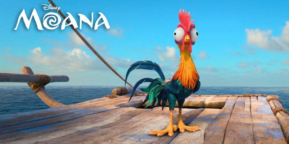 Heihei From "Moana" is Hei-LARIOUS