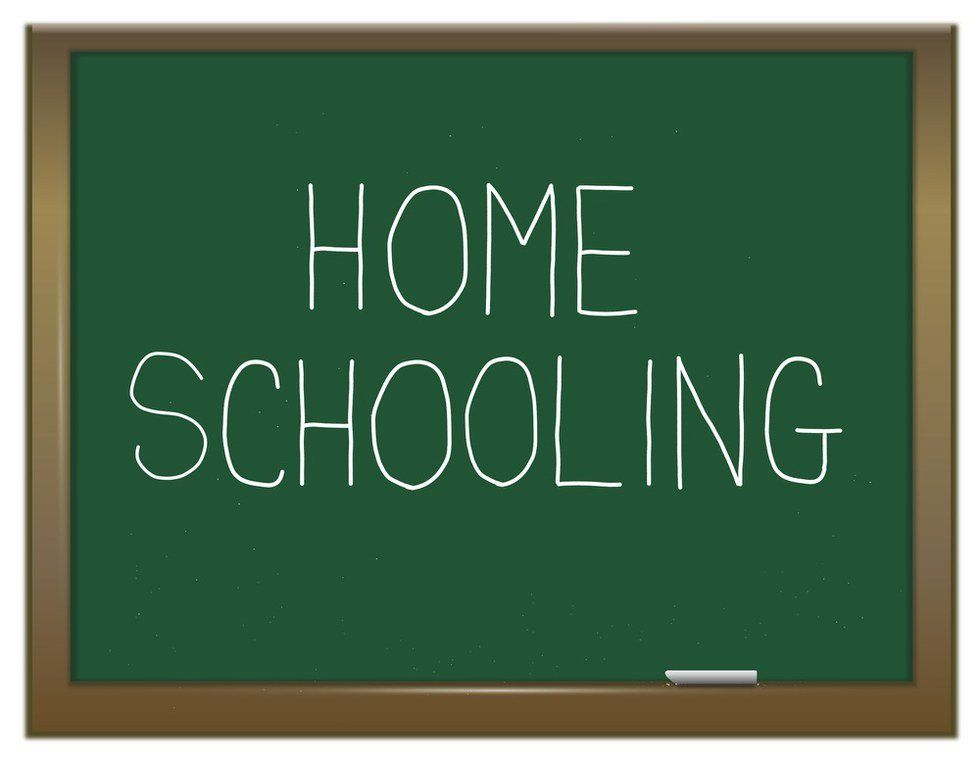 11 Homeschool Myths Busted