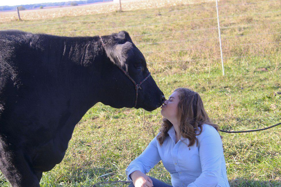 8 Reasons I Like My Show Heifer More Than You