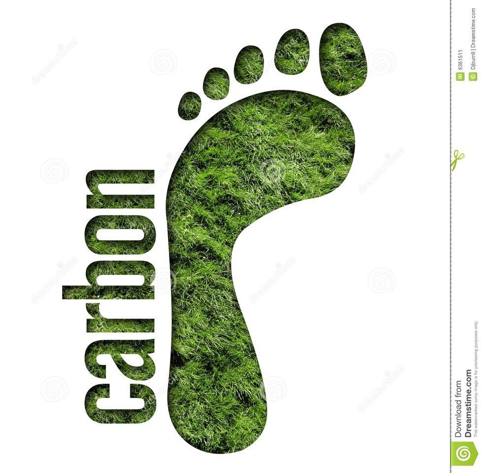 5 Ways to Reduce Your Carbon Footprint Without Compromising Your Daily Life