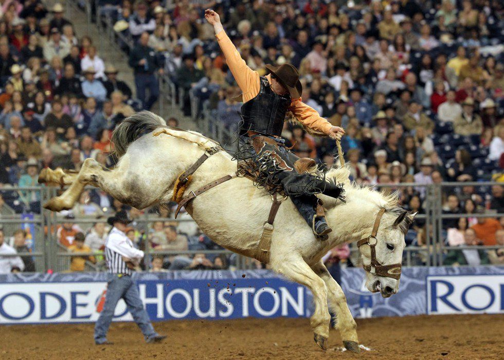 5 Reasons The Houston Rodeo is A Must