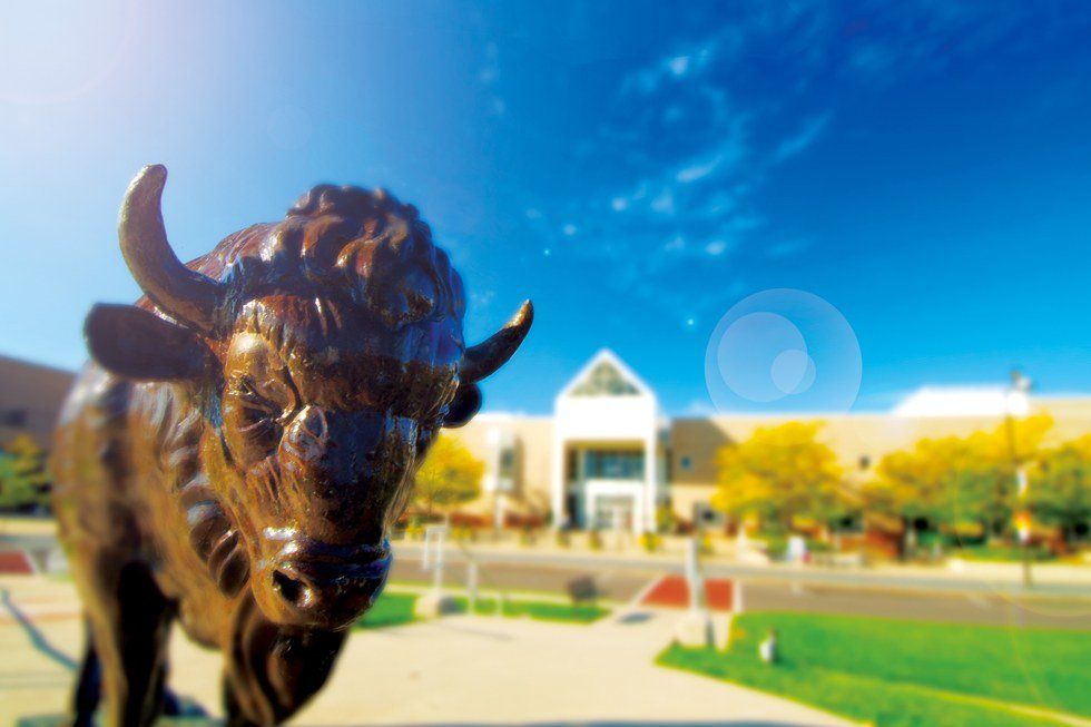 10 Things I learned At UB