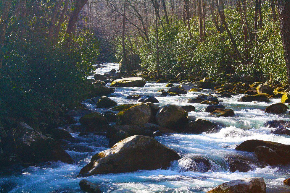 Hiked There, Hiked That: Mouse Creek Falls