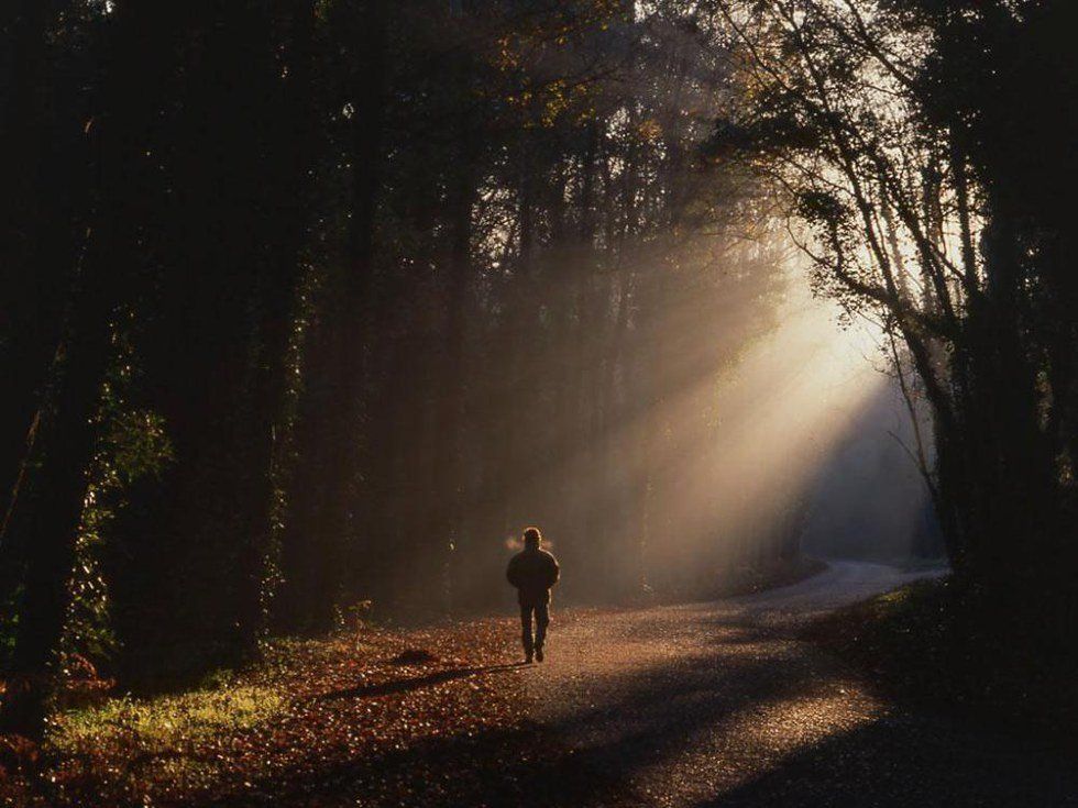 In The Dark Forest