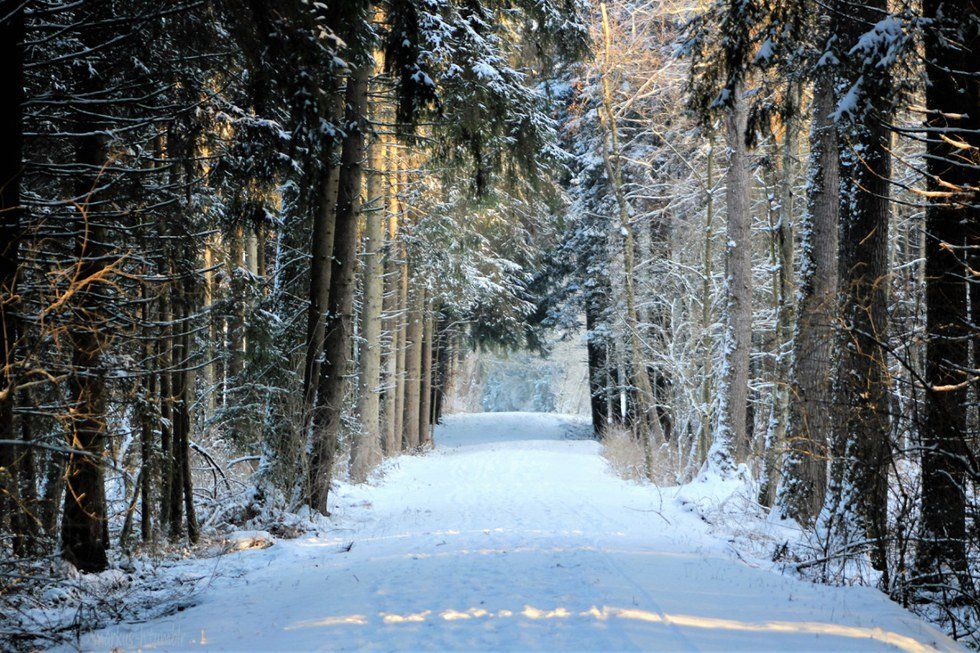 15 Ways To Be Happier This Winter