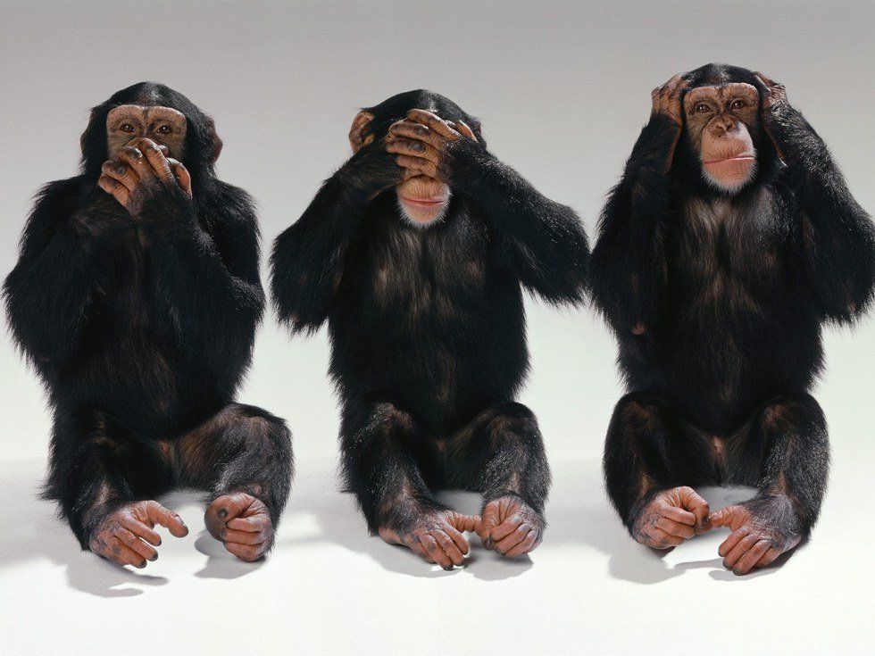 See No Evil, Hear No Evil, Speak No Evil (Part 2)