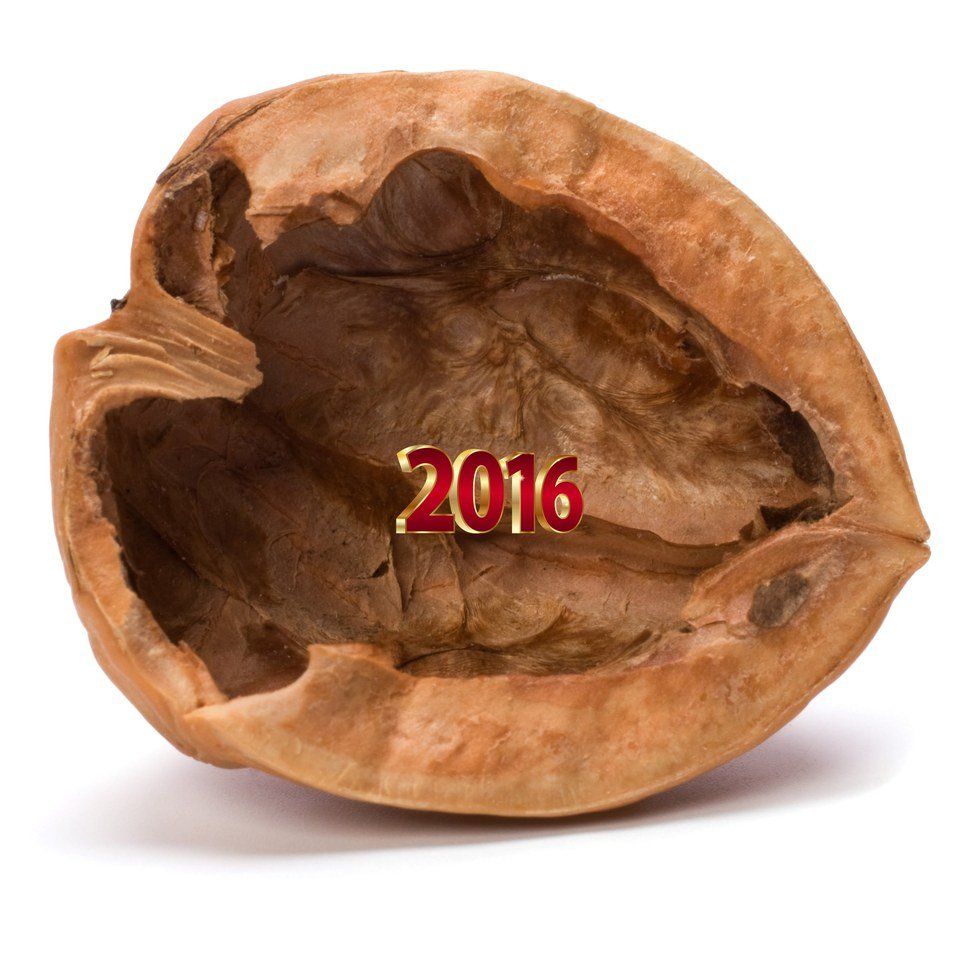 2016 In A Nutshell