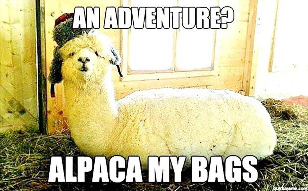 From Alpacas To Panda Express