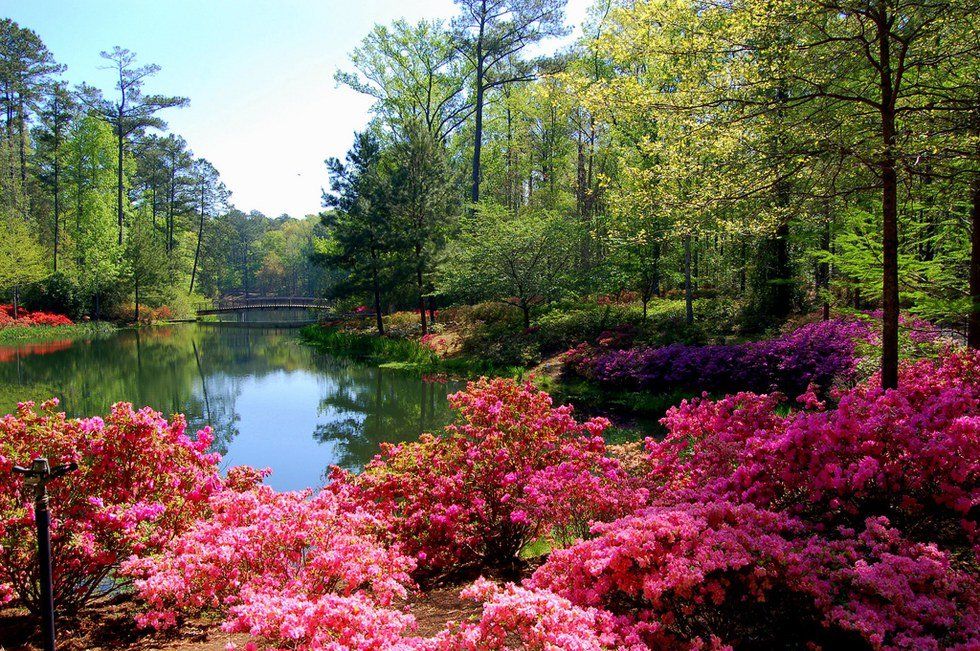 A Recap Of My Trip To Callaway Gardens