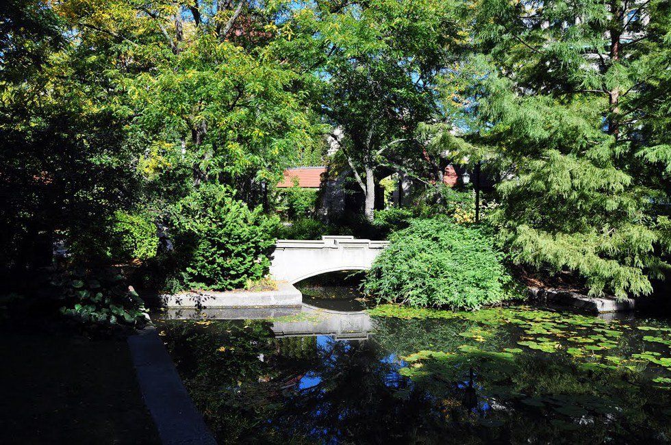 Best Noisy Study Spots at UChicago